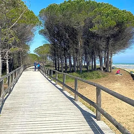 Hotel Lovely Beachfront Apartment-beahost
